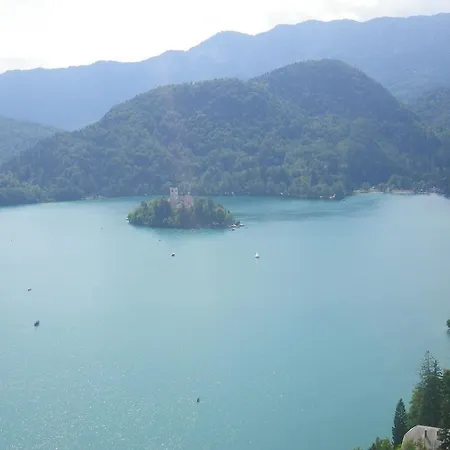 Abhau-tage * 弗拉奇